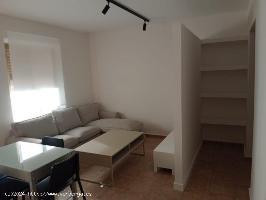 Apartamento en alquiler en Granada (Granada)