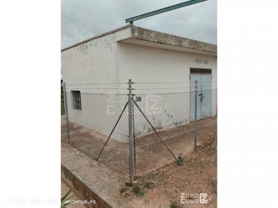 Finca en venta en Algemesí (Valencia)