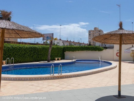 Casa en venta en Torrevieja (Alicante)