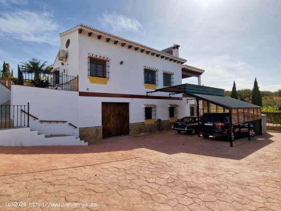 Villa en venta en Alcaucín (Málaga)