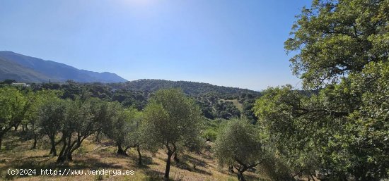 Solar en venta en Casares (Málaga)