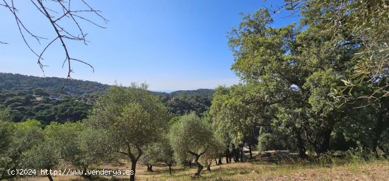 Solar en venta en Casares (Málaga)