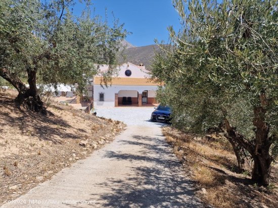 Villa en venta en Alcaucín (Málaga)