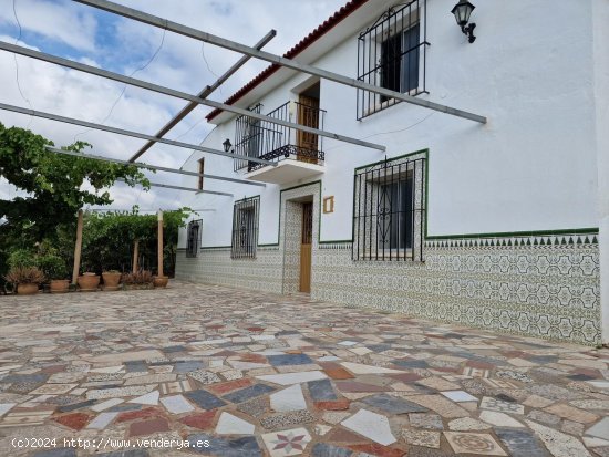 Villa en venta en Comares (Málaga)