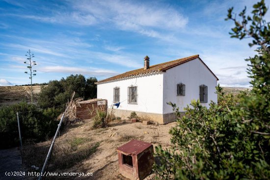 Finca en venta en Manilva (Málaga)