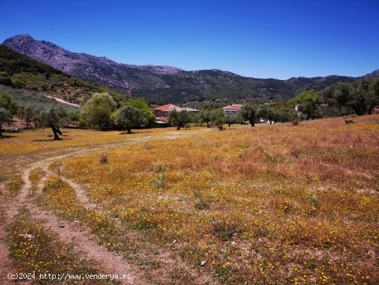 Solar en venta en Periana (Málaga)