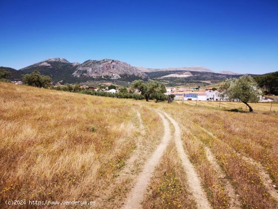 Solar en venta en Periana (Málaga)