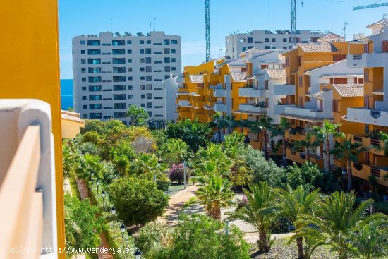 Apartamento en venta en Orihuela (Alicante)