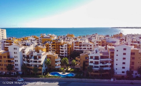 Apartamento en venta en Orihuela (Alicante)