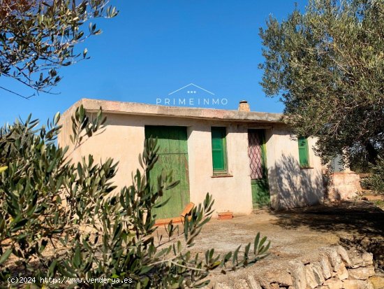 Finca en venta en El Perelló (Tarragona)