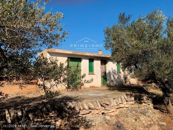 Finca en venta en El Perelló (Tarragona)