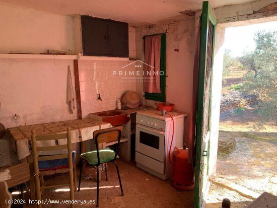 Finca en venta en El Perelló (Tarragona)