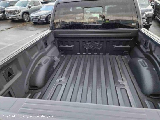 FORD F 150 en venta en BanastÃ¡s (Huesca) - BanastÃ¡s