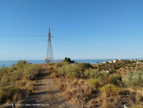 Parcela en venta en Benajarafe (Málaga)