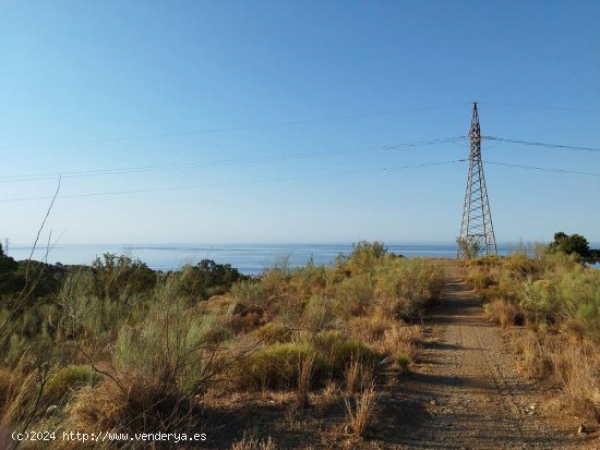 Parcela en venta en Benajarafe (Málaga)