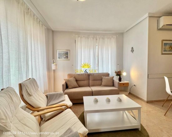 Apartamento en alquiler en Torrevieja (Alicante)