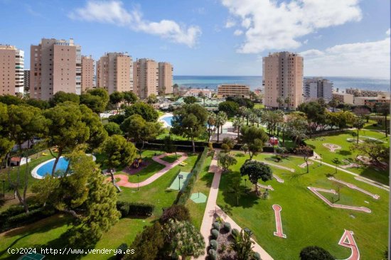  Apartamento en alquiler en Torremolinos (Málaga) 