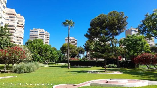 Apartamento en alquiler en Torremolinos (Málaga)