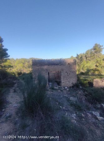 Solar en venta en Tivissa (Tarragona)