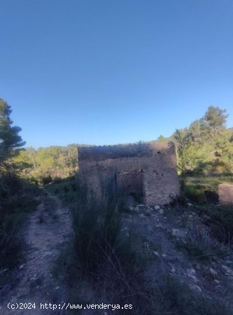 Solar en venta en Tivissa (Tarragona)