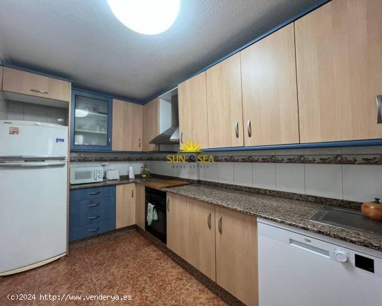 Apartamento en alquiler en Pilar de la Horadada (Alicante)