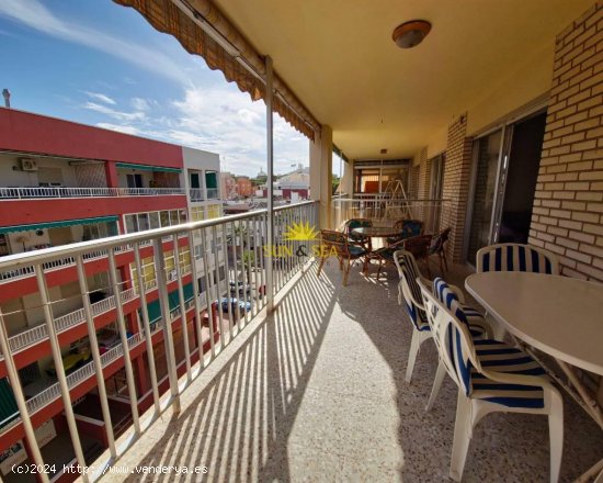 Apartamento en alquiler en Guardamar del Segura (Alicante)