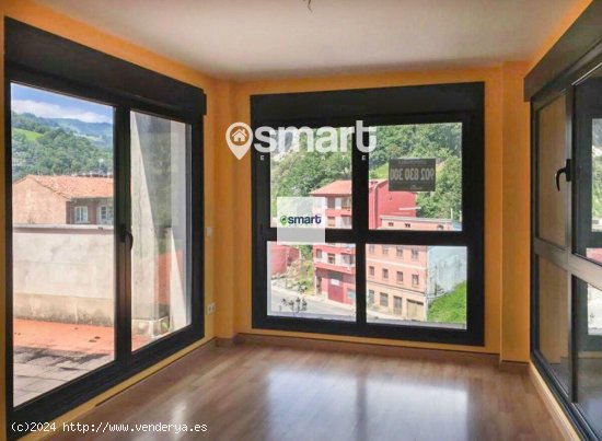 Apartamento en venta en Aller (Asturias)