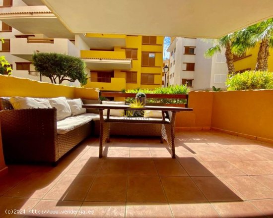 Apartamento en alquiler en Orihuela (Alicante)