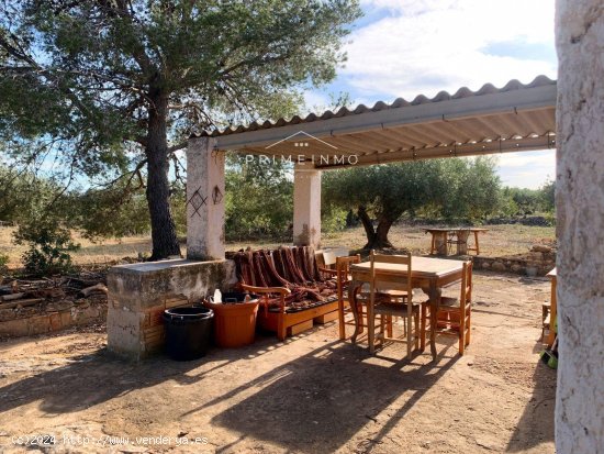 Finca en venta en L Ametlla de Mar (Tarragona)