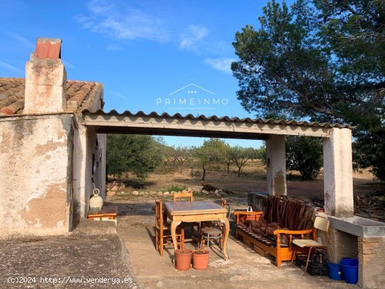 Finca en venta en L Ametlla de Mar (Tarragona)