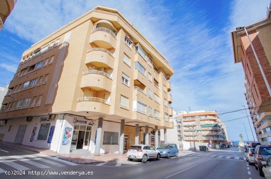 Apartamento en venta en Torrevieja (Alicante)