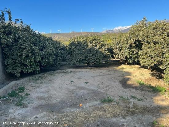 Finca de recreo en el Valle de Lecrin - GRANADA