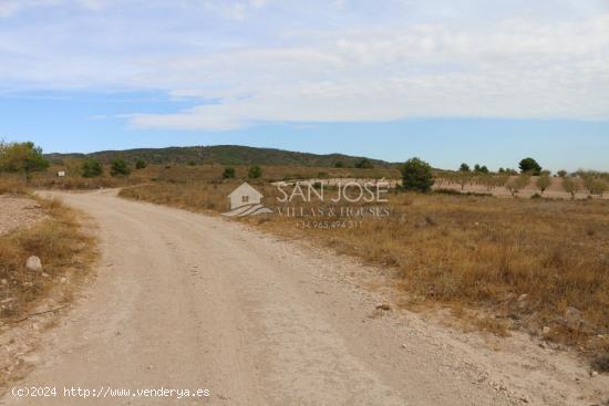 VENTA DE TERRENO EN JUMILLA - MURCIA