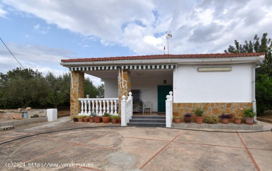  Villa en venta en Turís (Valencia) 