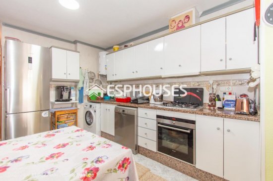 Casa en venta en Torrevieja (Alicante)