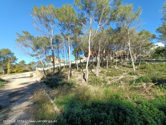 ¡En entorno natural y aislado! - BARCELONA