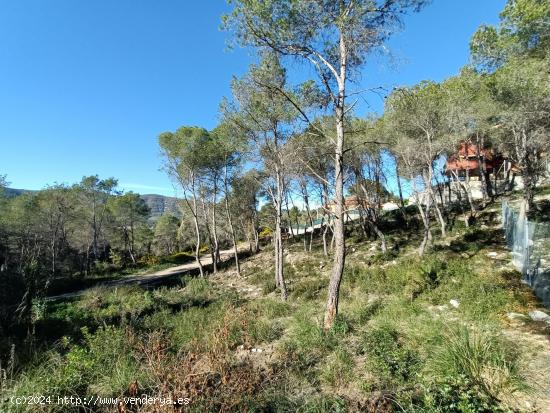 ¡En entorno natural y aislado! - BARCELONA