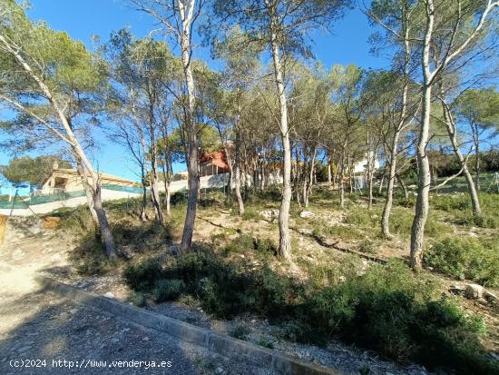 ¡En zona tranquila y rodeada de naturaleza! - BARCELONA