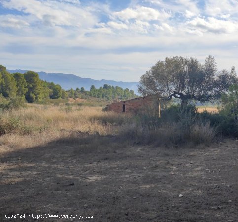 Casa en venta en Benissanet (Tarragona)