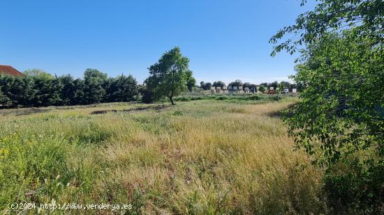 Parcela que linda con el campo - MADRID