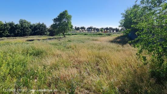 Parcela que linda con el campo - MADRID