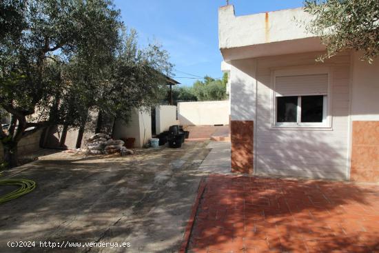  CASA DE CAMPO EN CREVILLENTE CON PARCELA DE 4400 M2 - ALICANTE 