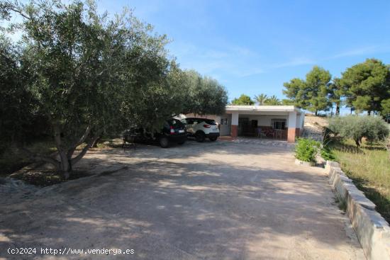 CASA DE CAMPO EN CREVILLENTE CON PARCELA DE 4400 M2 - ALICANTE