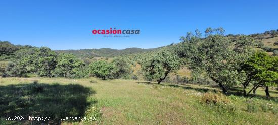 OLIVAR CON CORTIJO EN POZOBLANCO - CORDOBA