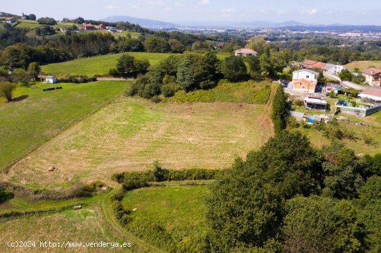 Finca en venta en Oviedo (Asturias)