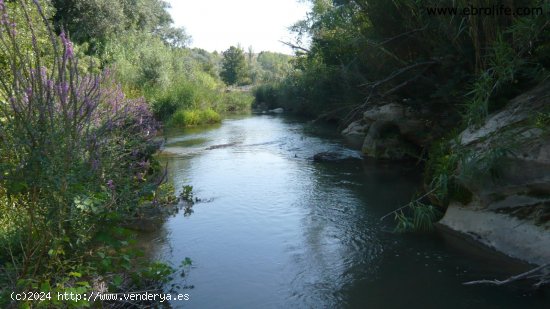 Finca en venta en Caspe (Zaragoza)