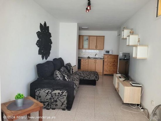 Apartamento en alquiler en Mogán (Las Palmas)