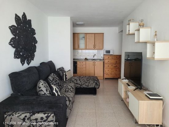 Apartamento en alquiler en Mogán (Las Palmas)