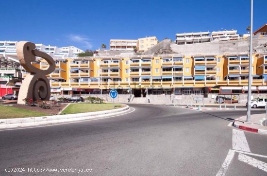 Apartamento en alquiler en Mogán (Las Palmas)