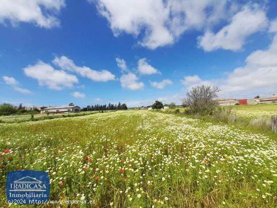  PARCELA DE 2.030M² EL PUERTO DE SANTA MARÍA - CADIZ 